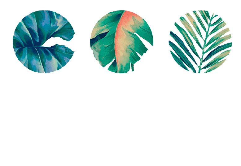 Jungle Coworking